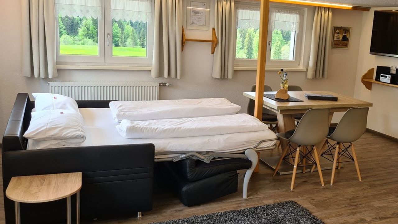 Wohnküche mit ausgezogenem Schlafsofa Südblick Wohnküche mit ausgezogenem Schlafsofa Südblick